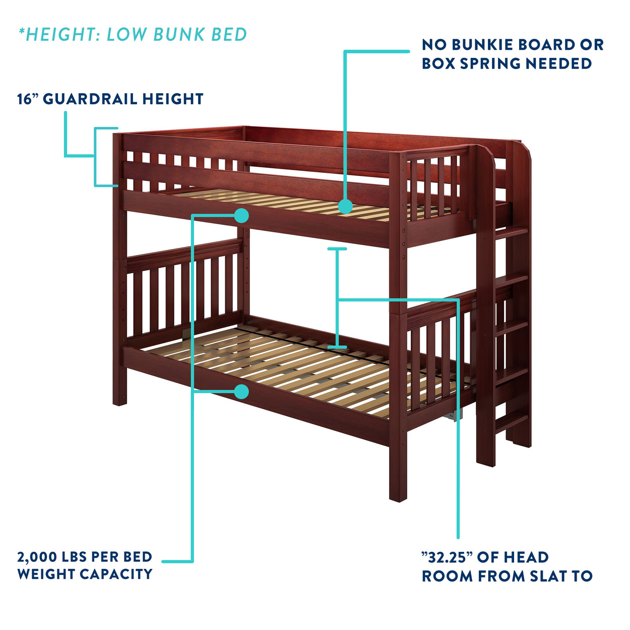 GULP XL CS : Classic Bunk Beds Full XL Low Bunk Bed with Angled Ladder on Front, Slat, Chestnut