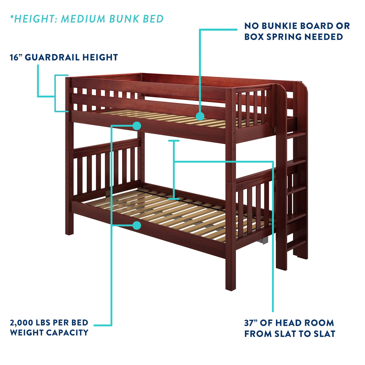 SUMO XL CS : Staggered Bunk Beds Medium Twin XL over Full XL Bunk Bed with Stairs, Slat, Chestnut