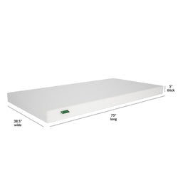 MX183015-000 : Mattresses 5" Memory Foam Mattress Twin